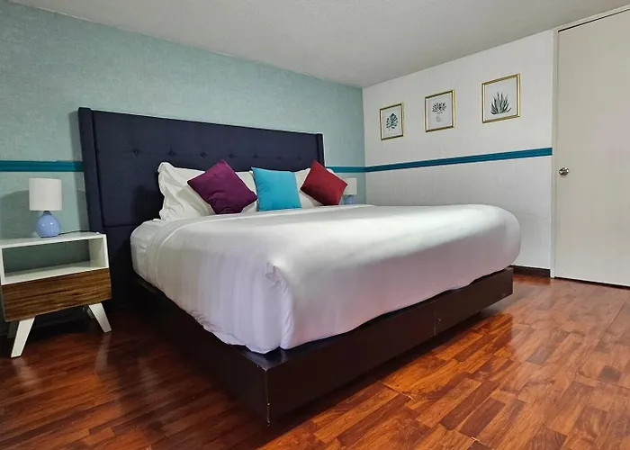 Apartamento Zona Rosa, Amberes 33 *