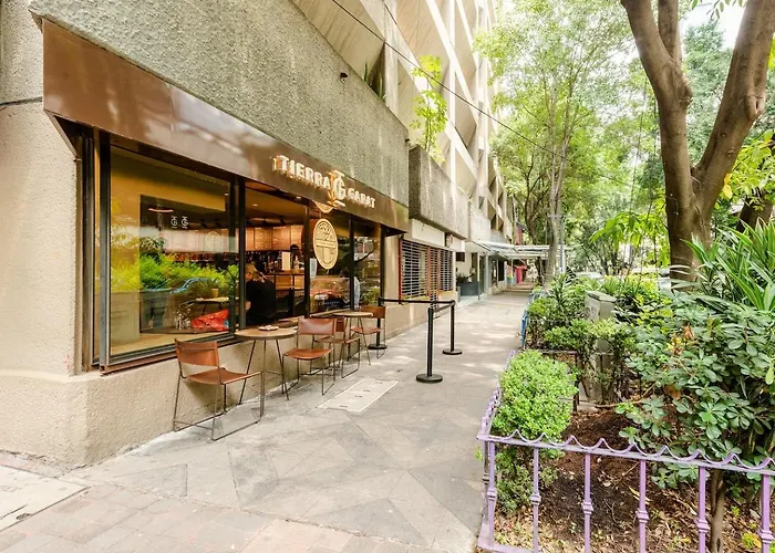 Zona Rosa, Amberes 33 * México DF